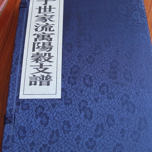 孟氏陽谷支譜
