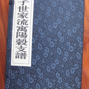 孟氏陽(yáng)谷支譜